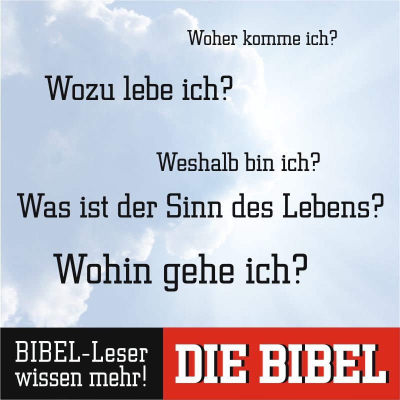 Schaukastenplakat - Bibel-Leser wissen mehr