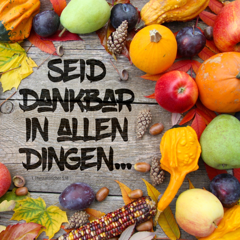 Schaukastenplakat - Seid dankbar in allen Dingen!