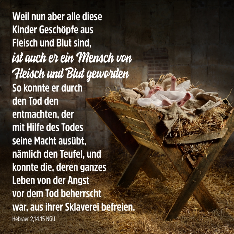 Schaukastenplakat - Jesus ein Mensch aus Fleisch und Blut